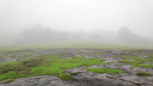 Rocky grassland covered in thick monsoon fog.