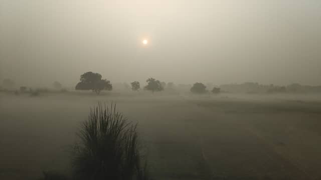 Early morning haze over open fields and distant trees.